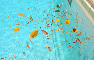 a limpeza da piscina no inverno 