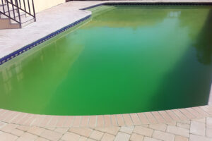 fatores que prejudicam a limpesa da piscina