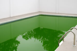água da piscina verde após chuva 