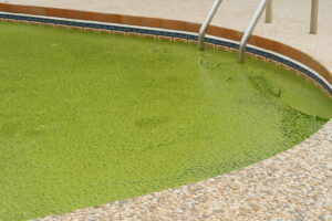 água da piscina verde